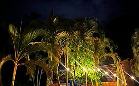 CHOCLINO ECOLODGE -Bungalows con Piscina privada, Mirador y Tours en la selva